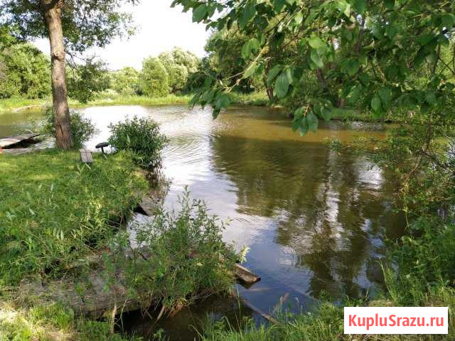 Рыбалка Михнево - изображение 1