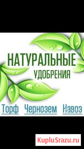 Готовый бизнес в сфере продаж растительным грунтом Звенигород - изображение 1