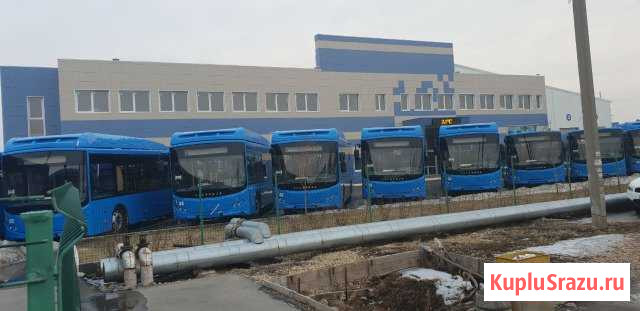 Автобус городской Волгабас ситиритм 10 на метане Санкт-Петербург - изображение 1