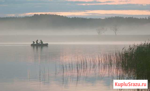 Обучение фотографии на острове. И отдых, и польза Санкт-Петербург - изображение 1