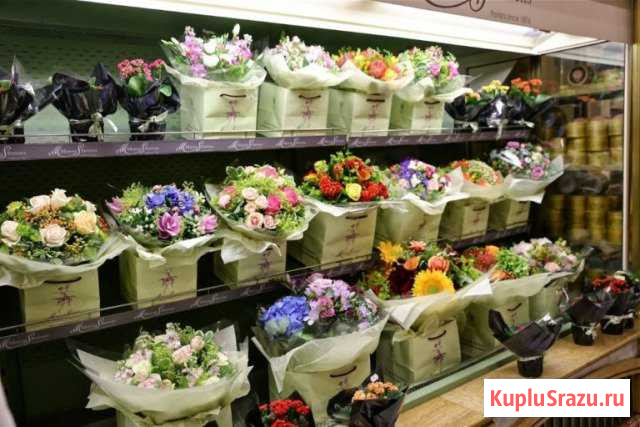 Магазин цветов в ТЦ ст. м Парнас Санкт-Петербург - изображение 1
