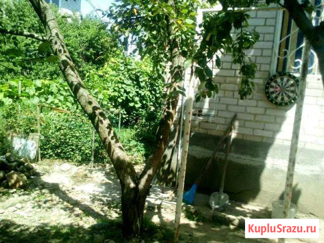  Курганинск - изображение 1