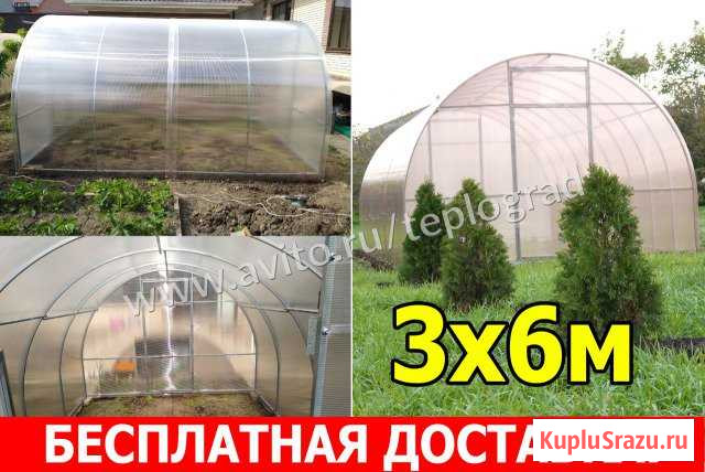 Теплица Гостагаевская - изображение 1