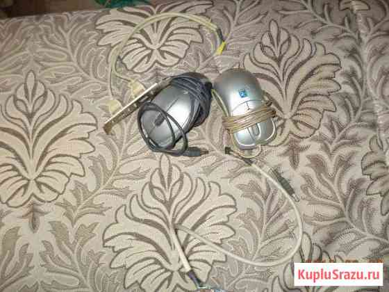 Две мышки, разъем USB и кабель корпуса Сочи