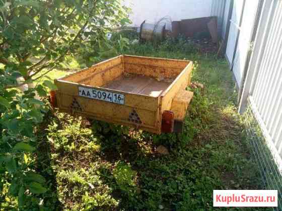 Легковой прицеп пчелка Альметьевск