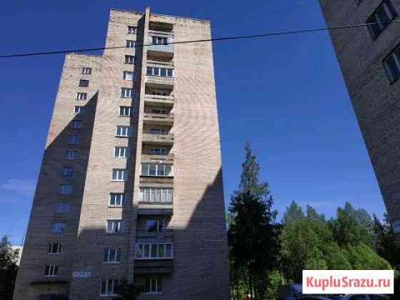 3-к квартира, 58 кв.м., 3/9 эт. Сертолово