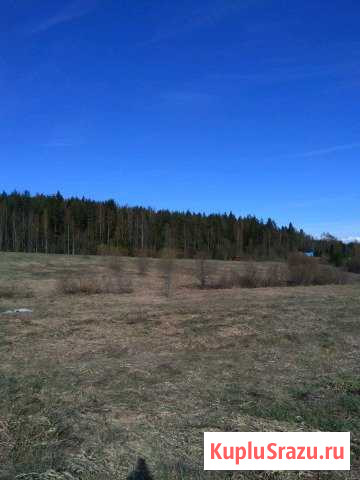  Выборг - изображение 1