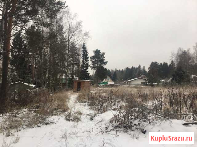  Всеволожск - изображение 1