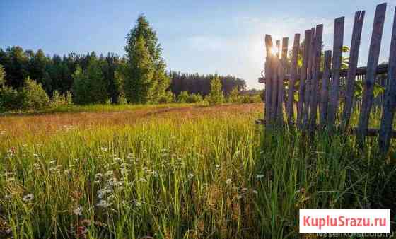  Кингисепп