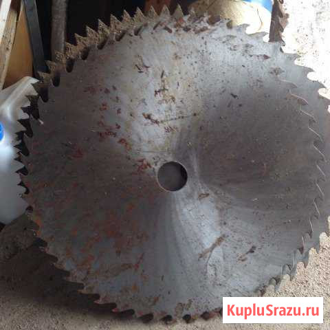 Диск распиловочный 500-2.5-48 Выборг - изображение 1