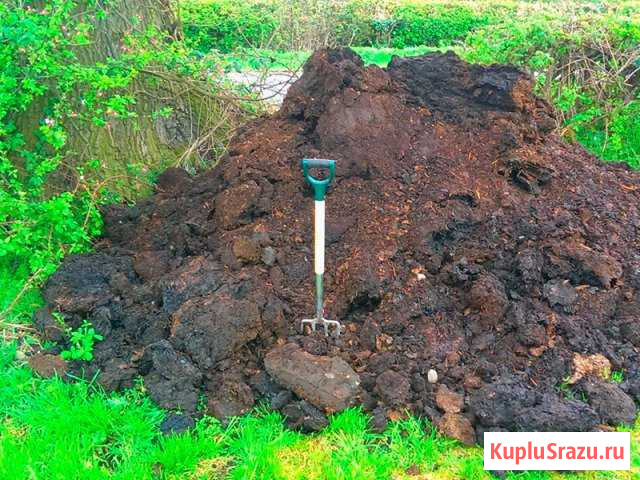 Грунт. Доставка навал Кингисепп - изображение 1