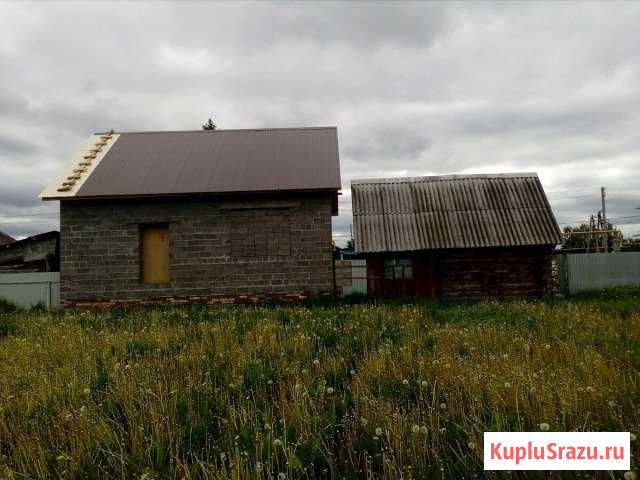  Мишкино - изображение 1