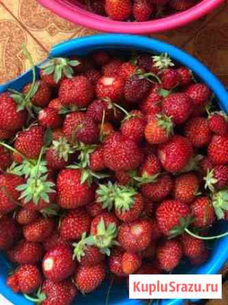 Продам клубнику Алексеевка