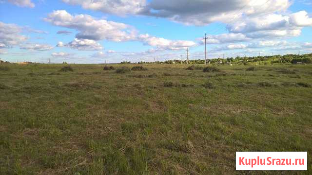 Покос травы, кустарника, бурьяна,спил деревьев Брянск - изображение 1