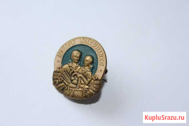 Значок Юный мичуринец чсср 1950-60г. тяж.мет Волгоград - изображение 1
