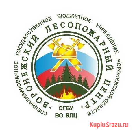 Рабочий, в лес, лесоруб Новая Усмань - изображение 1