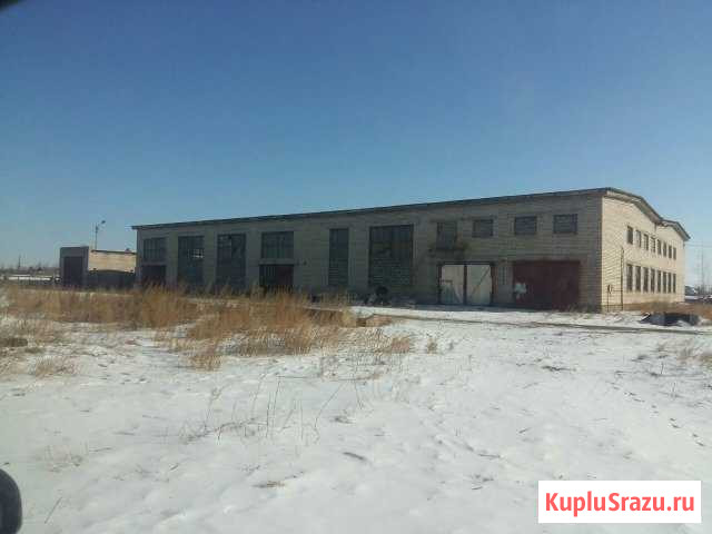 Дом 200 кв.м. на участке 7 га Приаргунск - изображение 1