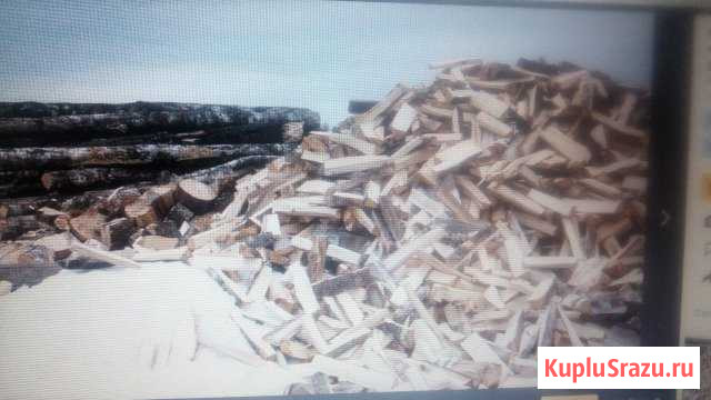 Береза разнолесок горбыль Комсомольск - изображение 1