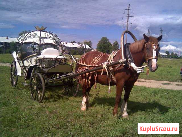 Лошадь - Карета Фурманов - изображение 1