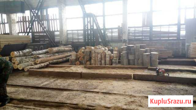 Вагонка Полок осина,кедр.дрова береза Братск - изображение 1