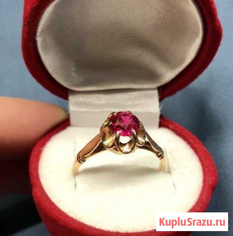 Золотое кольцо Ленинск-Кузнецкий - изображение 1
