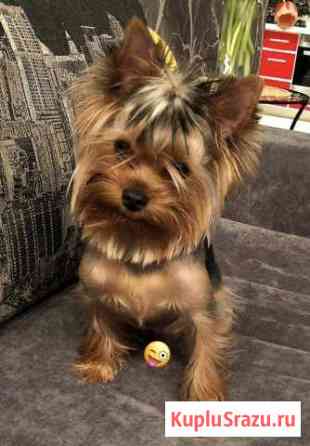 Вязка Кемерово