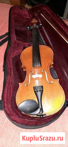 Скрипка Балашиха - изображение 1