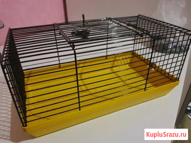 Клетка для хомяка Красногорск - изображение 1