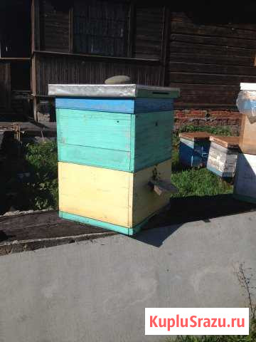 Ульи Домодедово - изображение 1