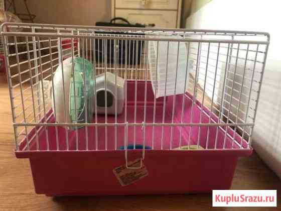 Клетка для хомячка Красногорск