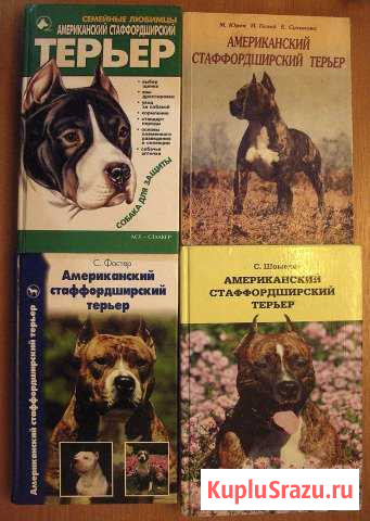 Американский стаффордширский терьер Приморск - изображение 1