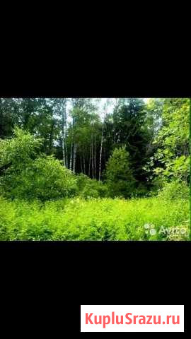  Невьянск - изображение 1