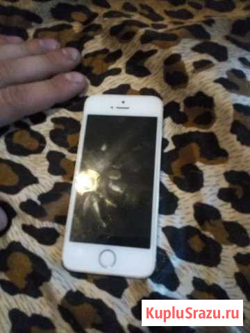 Айфон 5s Воскресенск - изображение 1