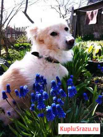 Ищем невесту Санкт-Петербург