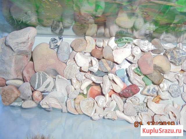 Камешки в аквариум Тихорецк - изображение 1