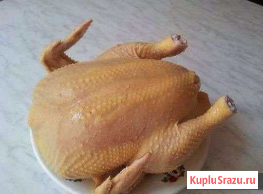 Мясо птицы(домашний бройлер) Туапсе - изображение 1