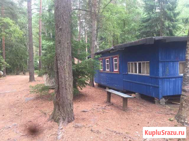 Дача 20 кв.м. на участке 6 сот. Лебяжье - изображение 1