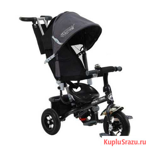 Велосипед 3-х колесный Family Trike Кемерово - изображение 1