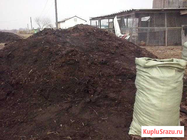Навоз Вятские Поляны - изображение 1