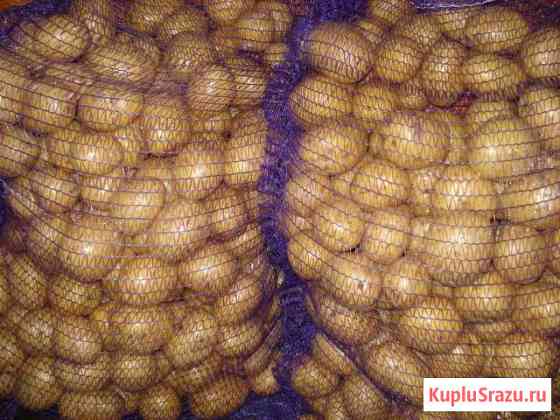 Картофель Усолье-Сибирское