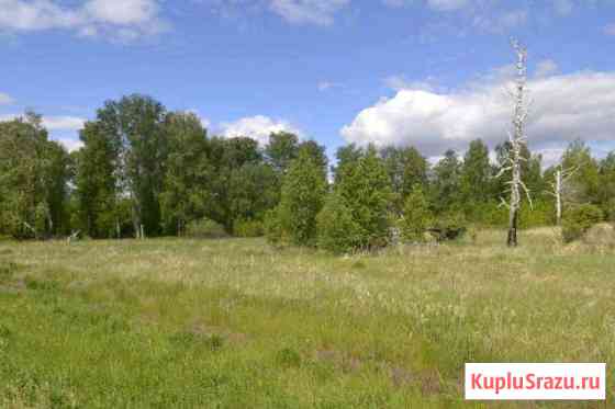  Коркино