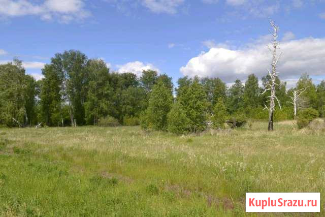  Коркино - изображение 1