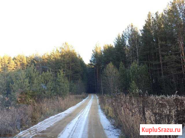  Сысерть - изображение 1