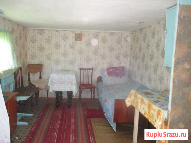 Дача 20 кв.м. на участке 6 сот. Богородск - изображение 1