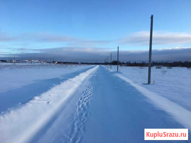  Тайцы - изображение 1