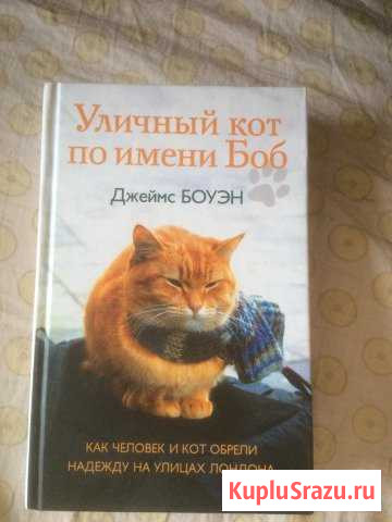 Книга «Уличный кот по имени Боб» Луга - изображение 1