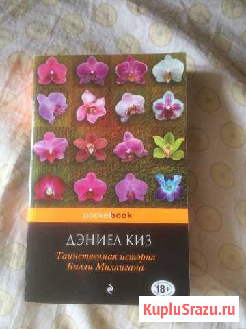 Книга «Таинственная история Билли Миллигана» Луга - изображение 1