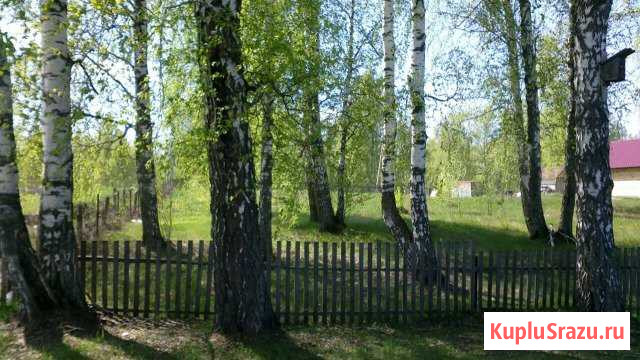  Бийск - изображение 1