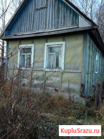  Коряжма - изображение 1