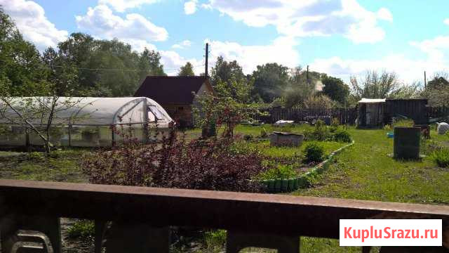  Курган - изображение 1